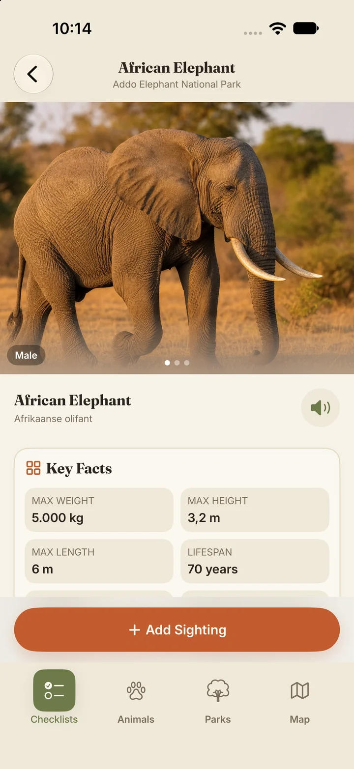 Elephant identification and species information